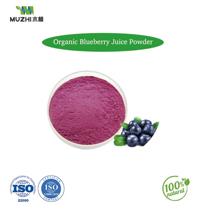 Organic Blueberry Juice Extract Powder Natural