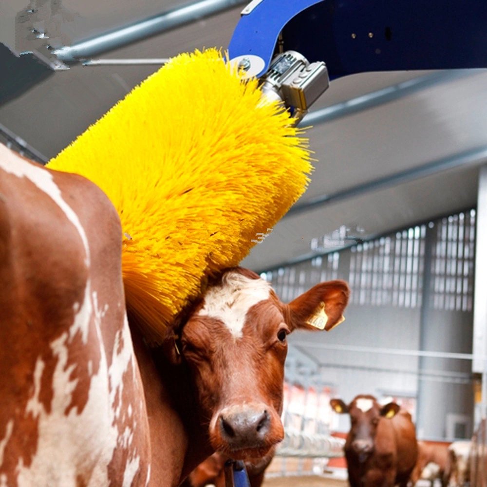 Brosse corporelle à angles multiples à rouleau unique de Cow