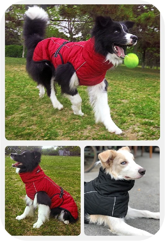 Wholesale/Supplier Luxury Clothes Cotton Waterproof Winter Pet Parkas Dog Jackets