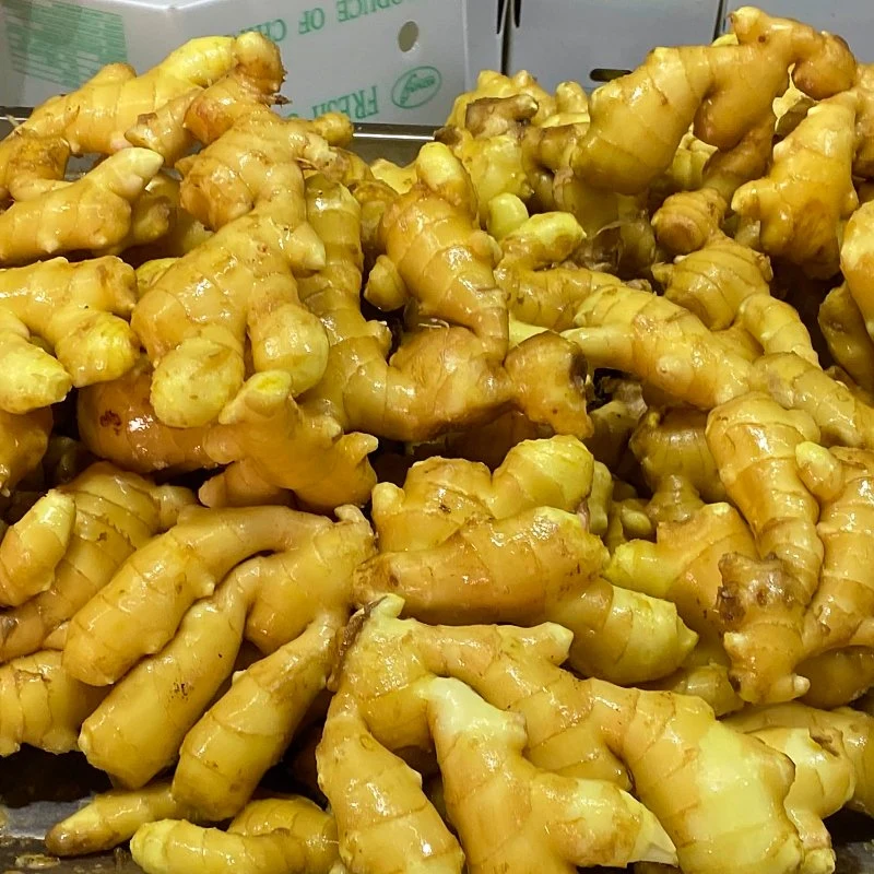 2018 New Crop Fresh Air-Dried Jumbo Ginger