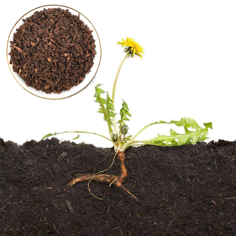 Roasted Dandelion Root for Tea Cut Bag