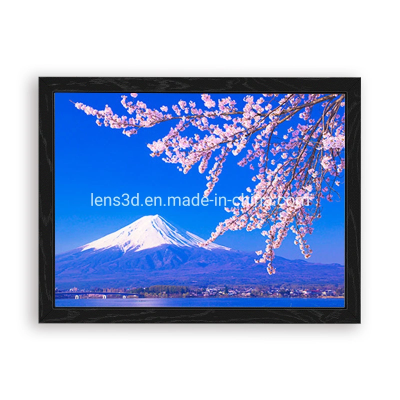 Best Selling 3D Effect Lenticular Picture Printing