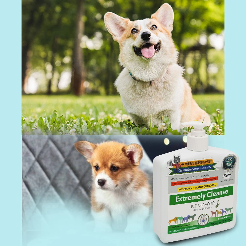 La Chine Vente chaude Pet Care Non Stimulation Petshampoo extrêmement nettoyer