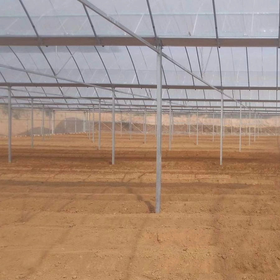 Agricultural Multi Span Plastic Hydroponics Growing System Greenhouse for Vegetable