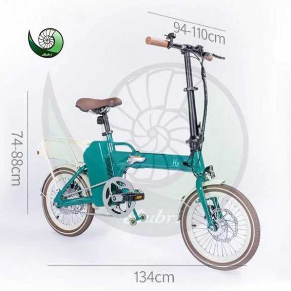 Fashion Hydrogen Bike Hydrogen Fuel Cell Bicycle with Good Quanlity