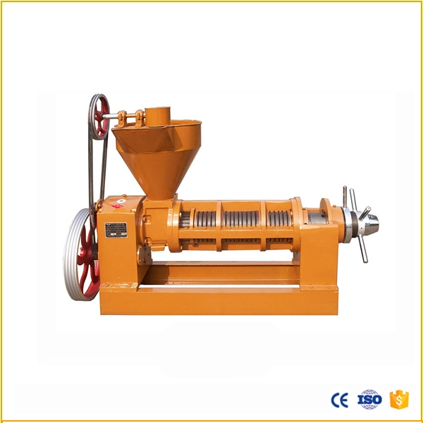 Screw Type Vegetable Seeds Oil Presser Cold Press Oil Machine