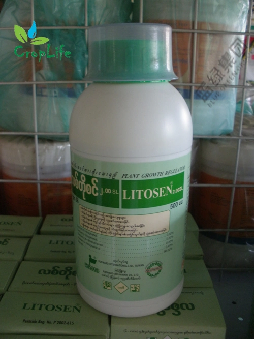 Herbicide Sulcotrione 95% Tc, 15% SL Soluble Concentrate Atrazine