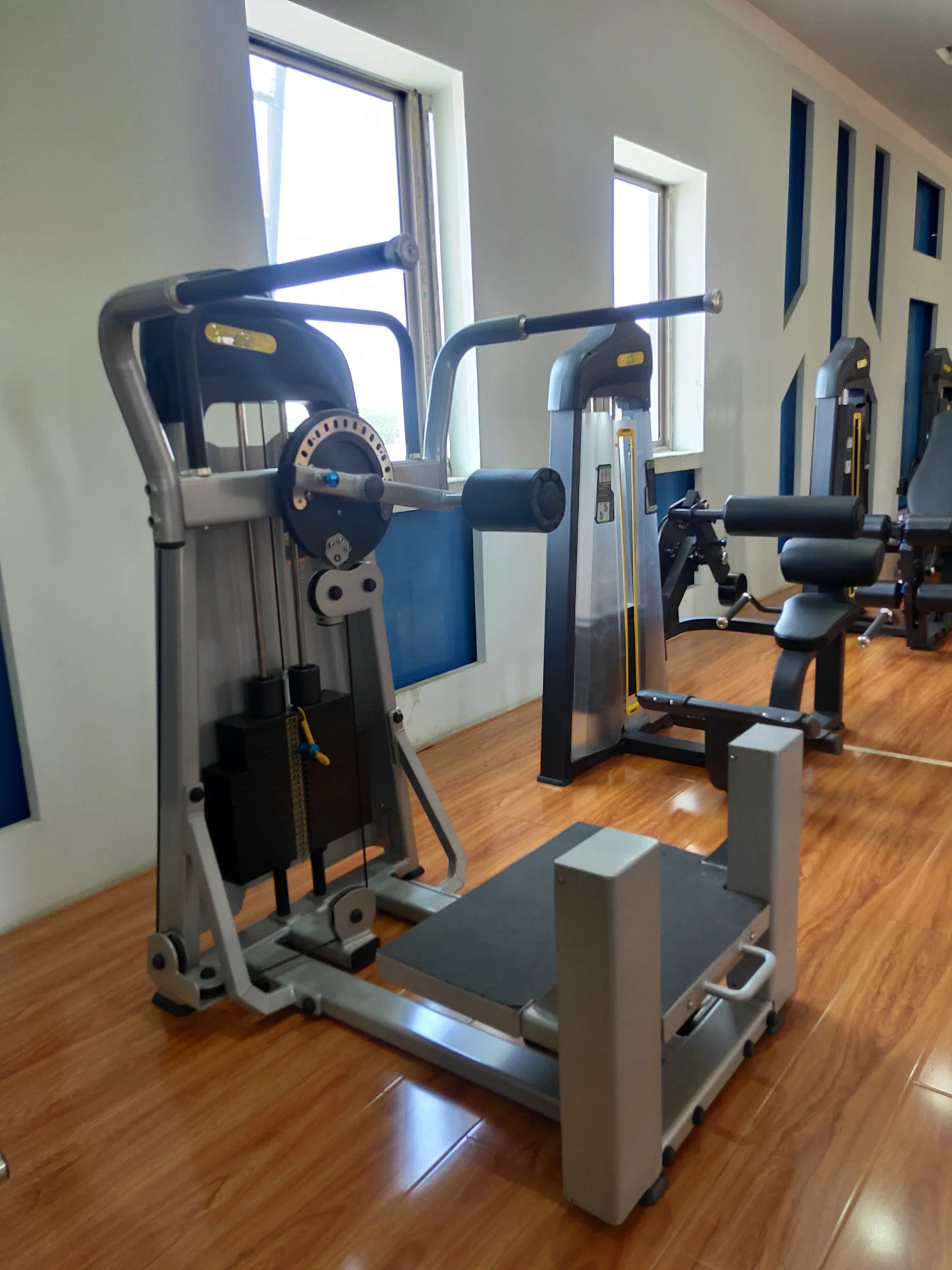 Fábrica de Dezhou Gym Fitness Multi-Hip equipamiento para uso comercial (AXD-5011A/B)