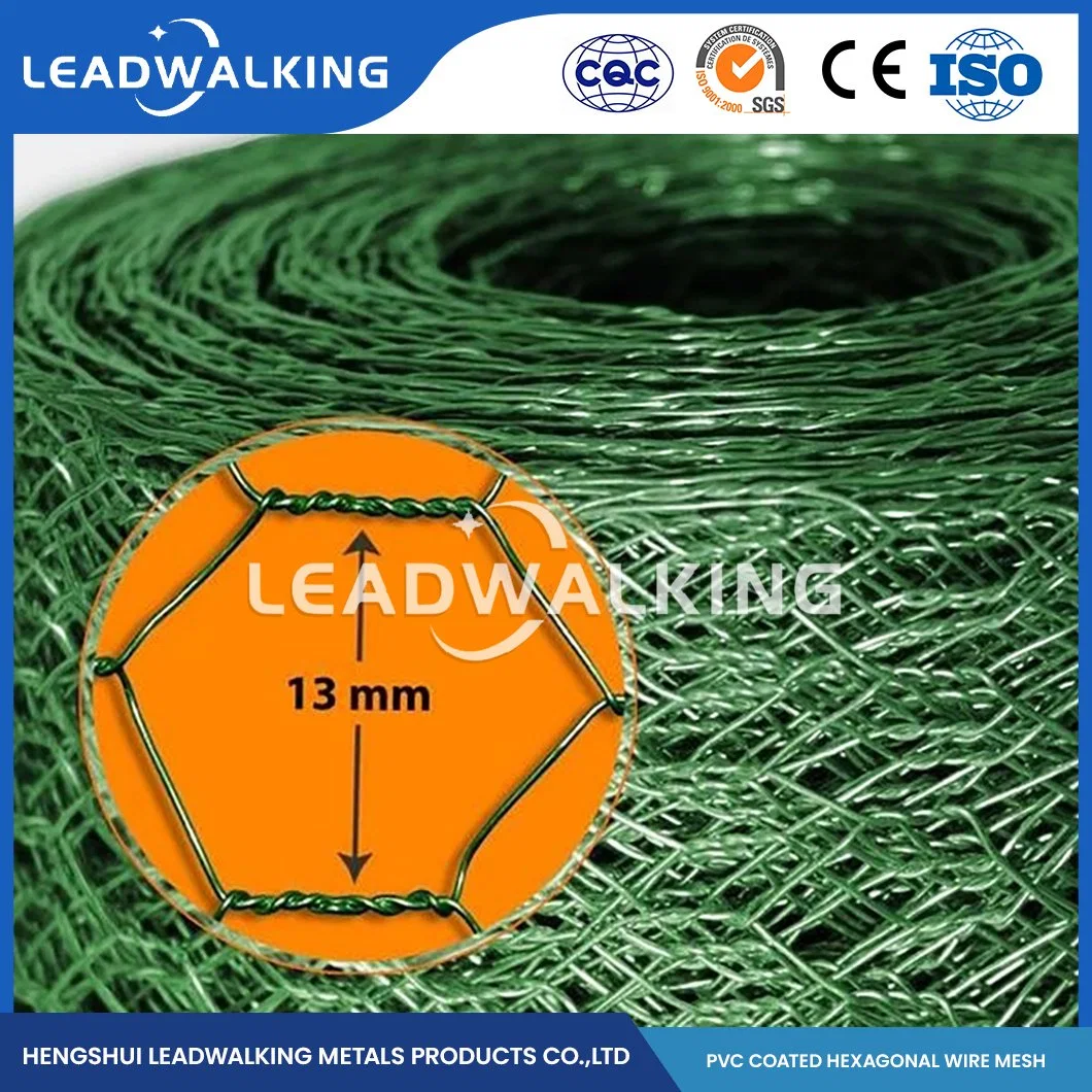 Leadwalking PVC material de alambre recubierto de PVC malla de alambre de pollo fuerte Fábrica China 2cm*3/4 pulgadas Galvanizado plástico recubierto Red hexagonal
