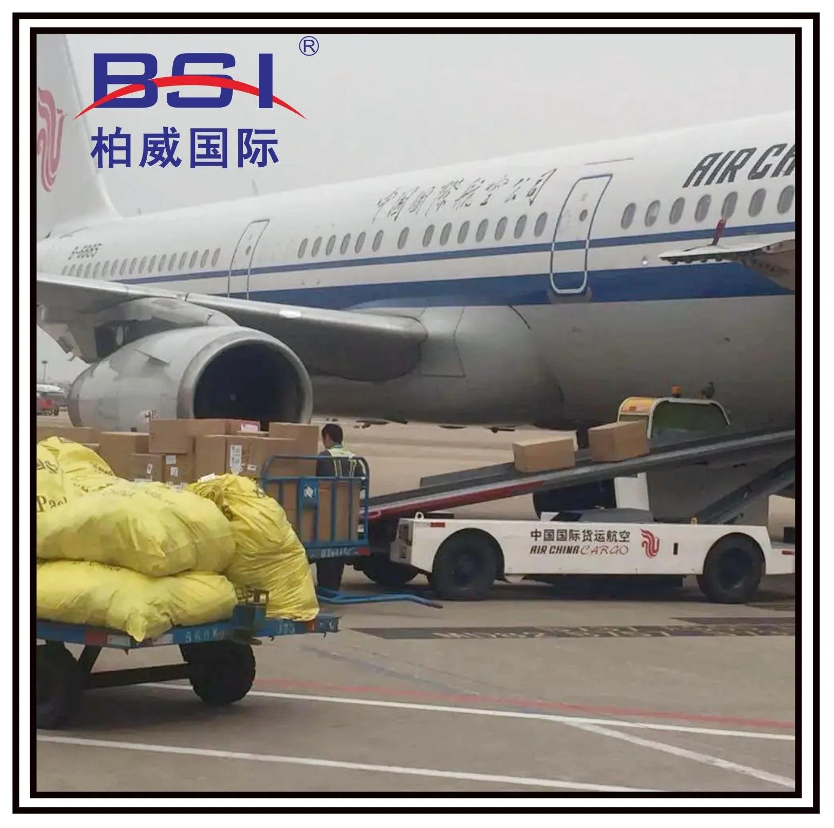 Safe, Reliable and Stable Global Air Freight Forwarder China to India Air Freight