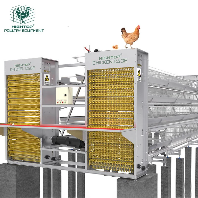 Good Price  Commercial Automatic Poultry Farming Equipment Chicken Layer Battery Cage