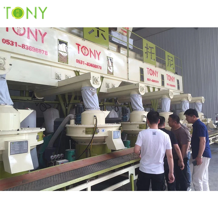 China Wood Sawdust Biomass Rice Husk 5-6t/H Wood Pellet Making Machine Line