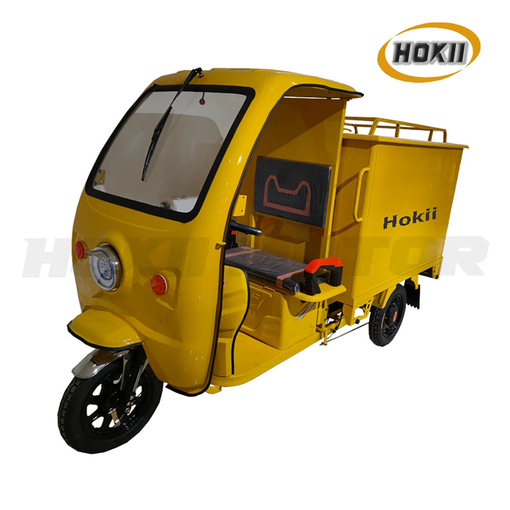 Popular Sell Express Delivery Tricycle Electric Cargo Triciclo in China Local Market