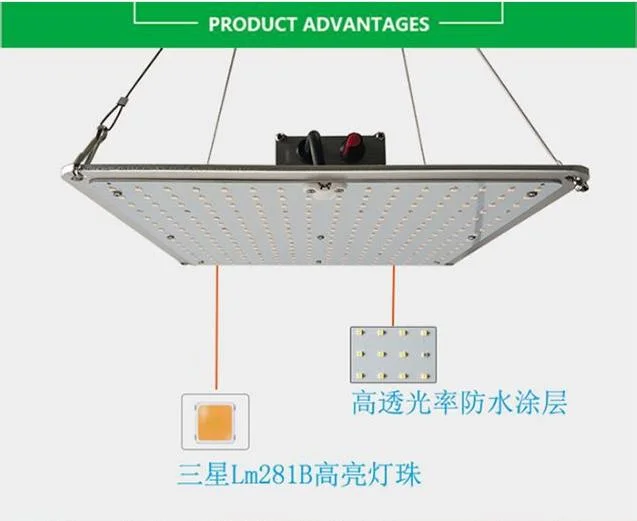 Best Quality Full Spectrum Grow LED Light Professional Design for Indoor Garden