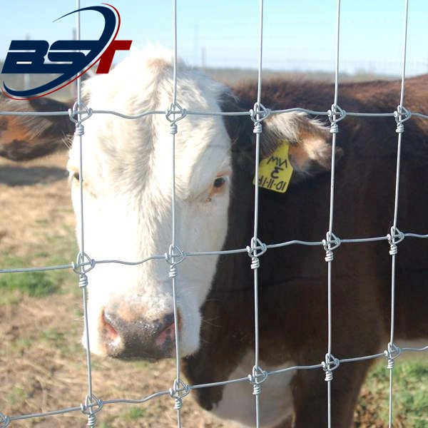 Fábrica directamente Venta de Rendimiento de alta calidad/alto costo barato caliente sumergido Galvanized fijo Malla de alambre de nudo campo Granja cadena enlace cercado para ganado / caballo / oveja / Esgrima de cabra/