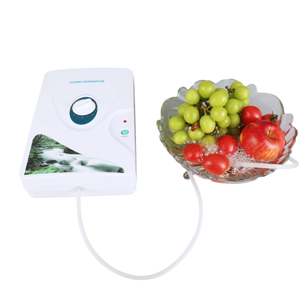 Home Used Ozone Generator Vegetable Fruit Water Sterilizer Purifier Price