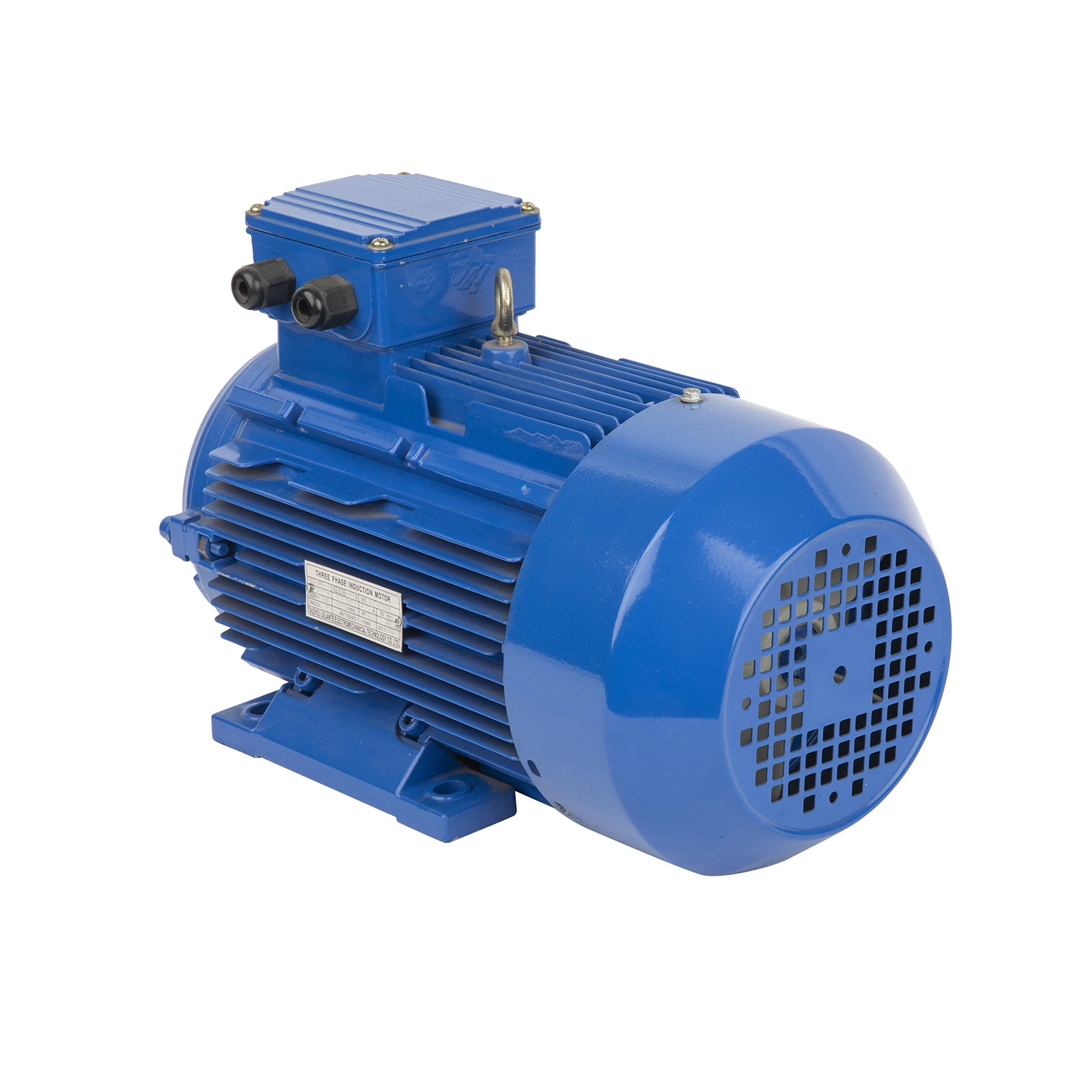 Yl Single-Phase Electric Motor 0.5HP-10HP 100%Copper/100%Output Cast Iron Housing Frame Continuous Duty AC Motor