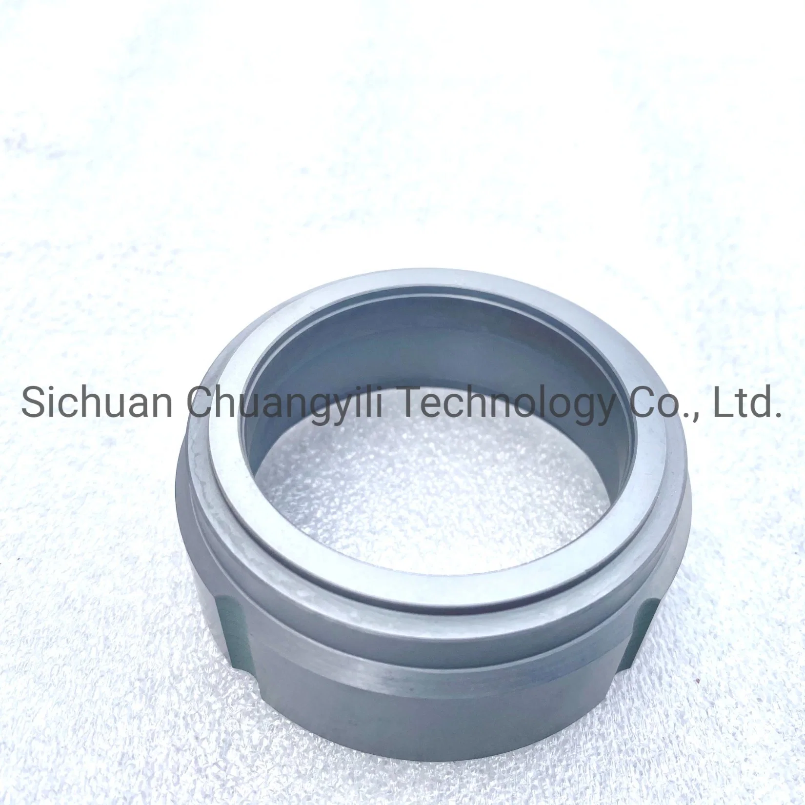 Mechanical O Ring Seal Ring Ssic Silicon Carbide Ceramic for Oil Pump