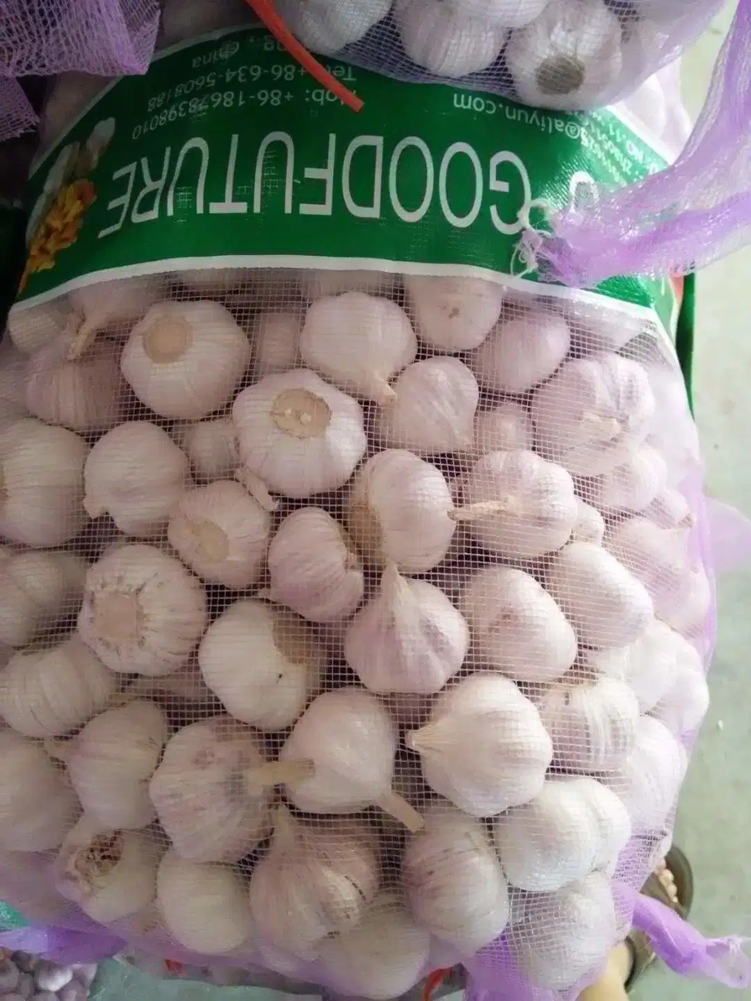 New Crop Garlic