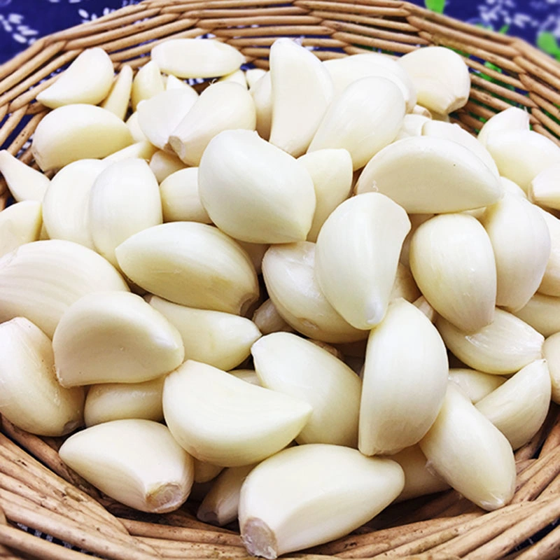 Wholesale/Supplier Fresh Garlic White Garlic with Per Ton Price