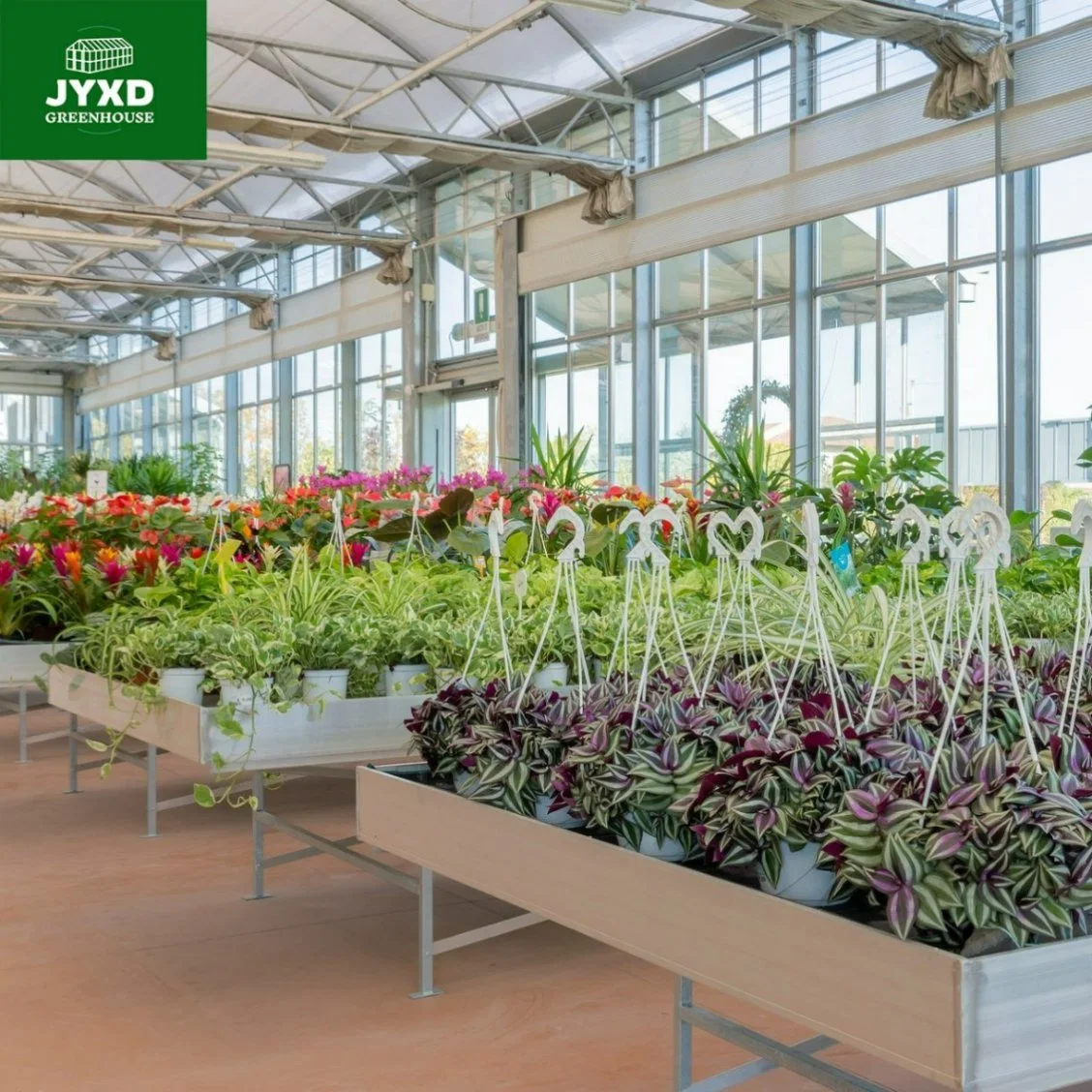 Modern Multi-Span Glass Greenhouse with Hydroponics System for Tomato/Flower/Cucumber/Lettuce/Pepper Planting/Blueberry