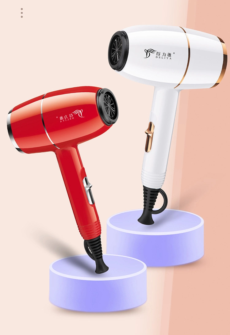 Hot Sell Professional Salon Beauty AC Motor Ionic 1600W Hair Dryer