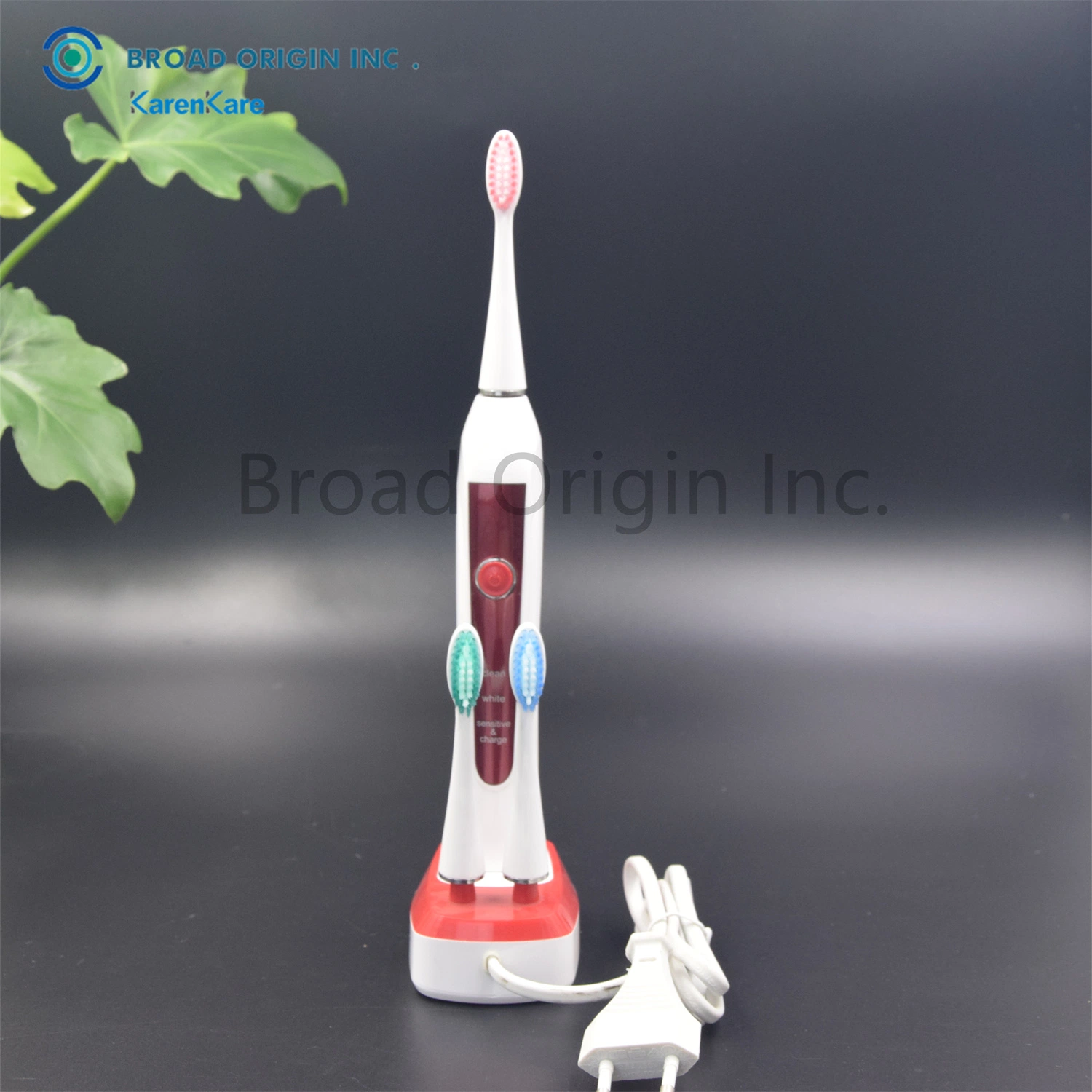 Private Label Tooth Brush LED Teeth Whitening Sonic Electric Toothbrush