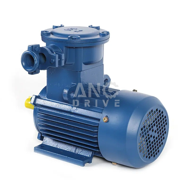 Anti Explosion Proof Electrical Engine High Low Voltage Flameproof China Manufacturer Price AC Electric Motor