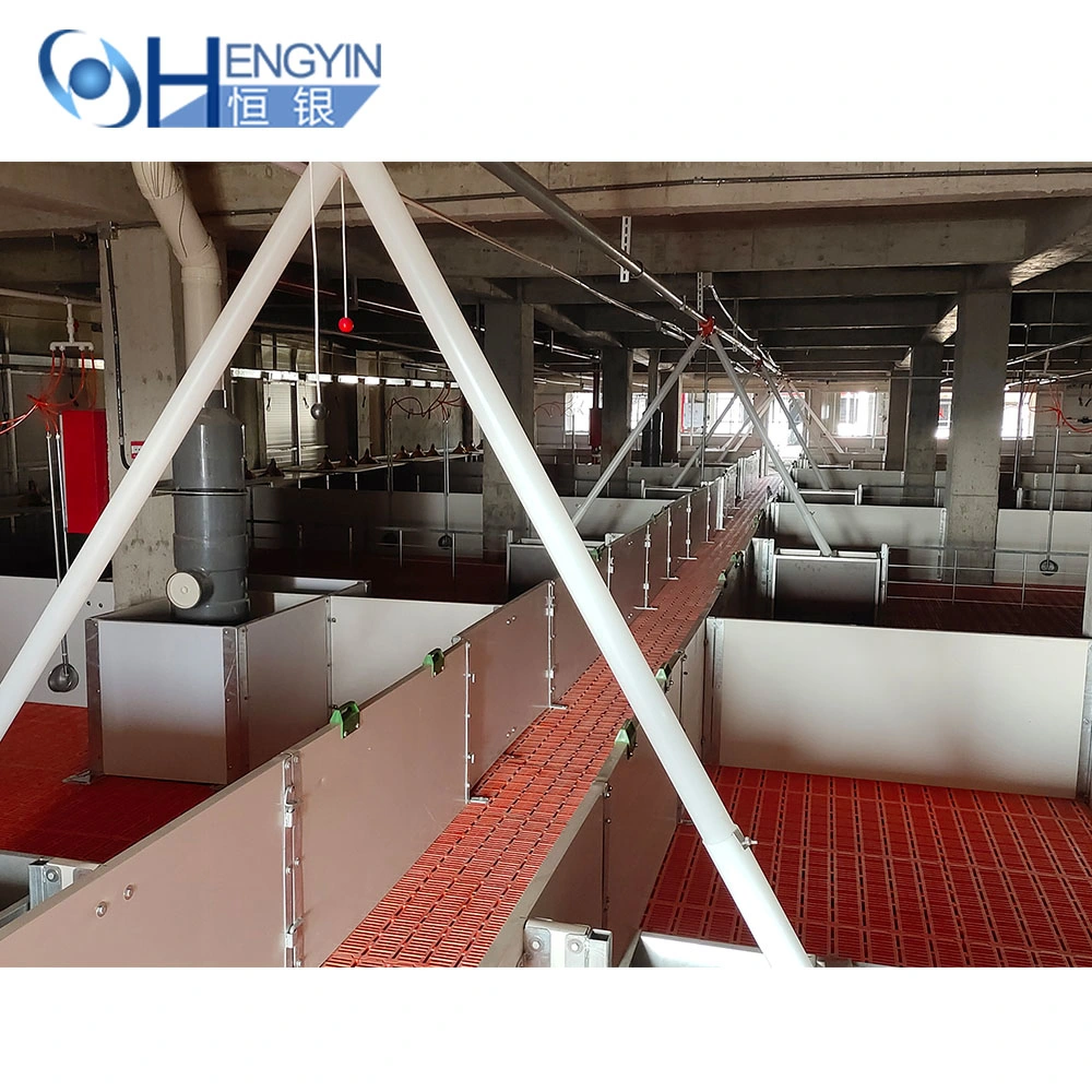 Pig Breeding Cage Automatic Systems for Pigs Farm