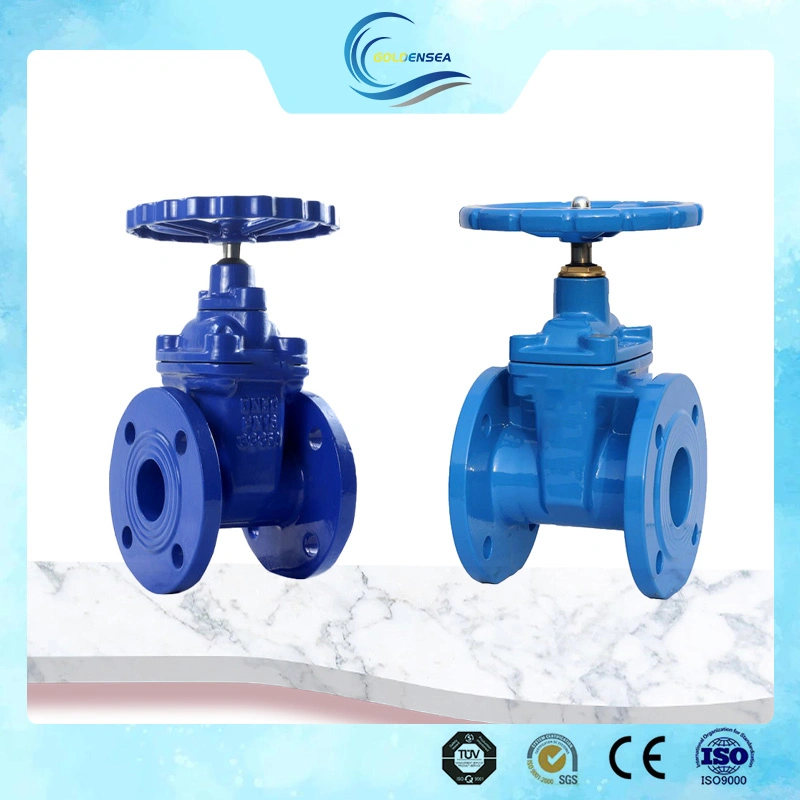 Industrial Cast Ductile Iron Rising Stem Osy Soft Seated Water Gate Valve Adjust Flow and Pressure Gate Valve