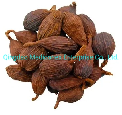 Amomum Tsao-Ko (fruit) Plant Extract Prepared Traditional Chinese Herbal Medicine Aromatic Humidifying