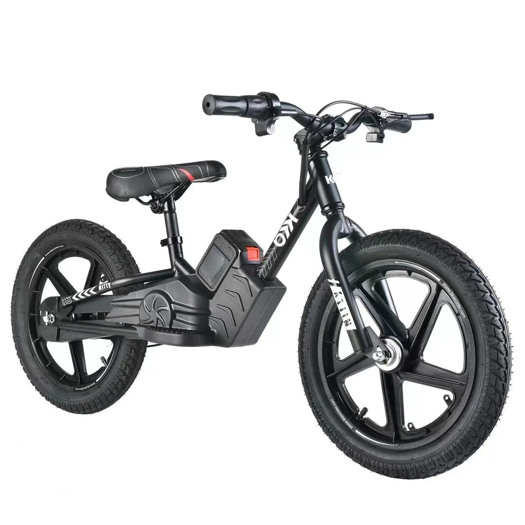 Fabrik Günstige Kinder Fat Reifen Elektro-Balance Fahrrad für E-Bike Für Kinder