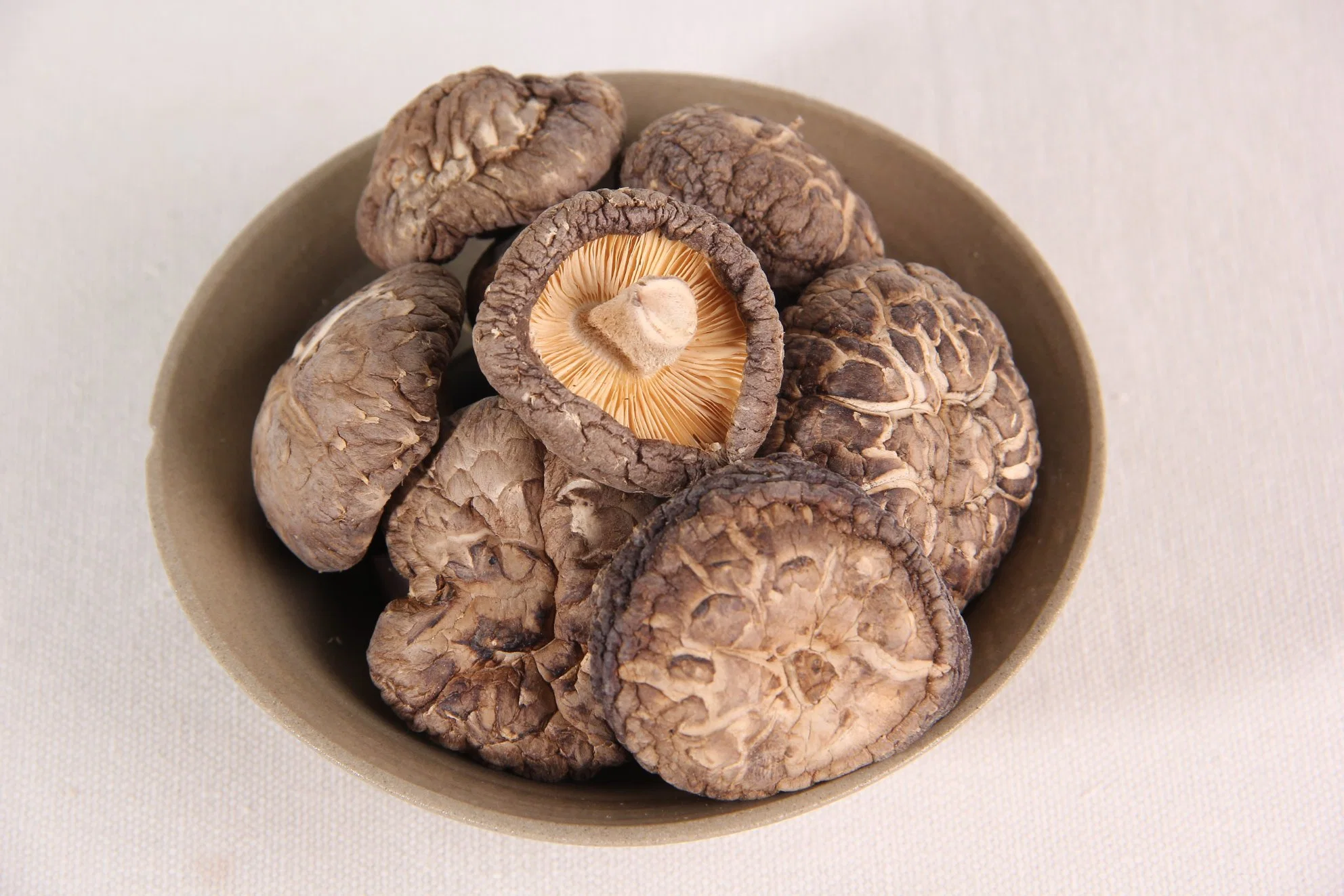 USDA Kosher orgânicas certificadas cogumelo Shiitake em pó para melhorar a imunidade