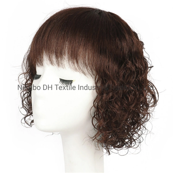 New Fashionable Hot Sale African Wigs Synthetic Hair Full Lace Wigs