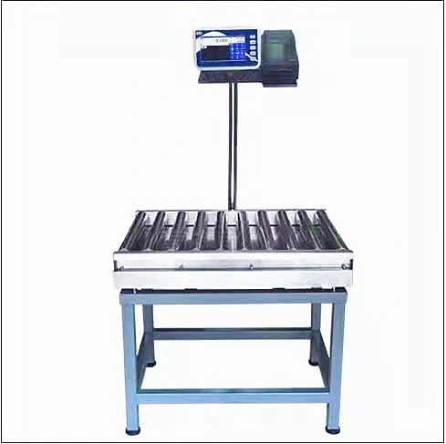 High-Precision Checkweigher Accurate Checkweighing Machine