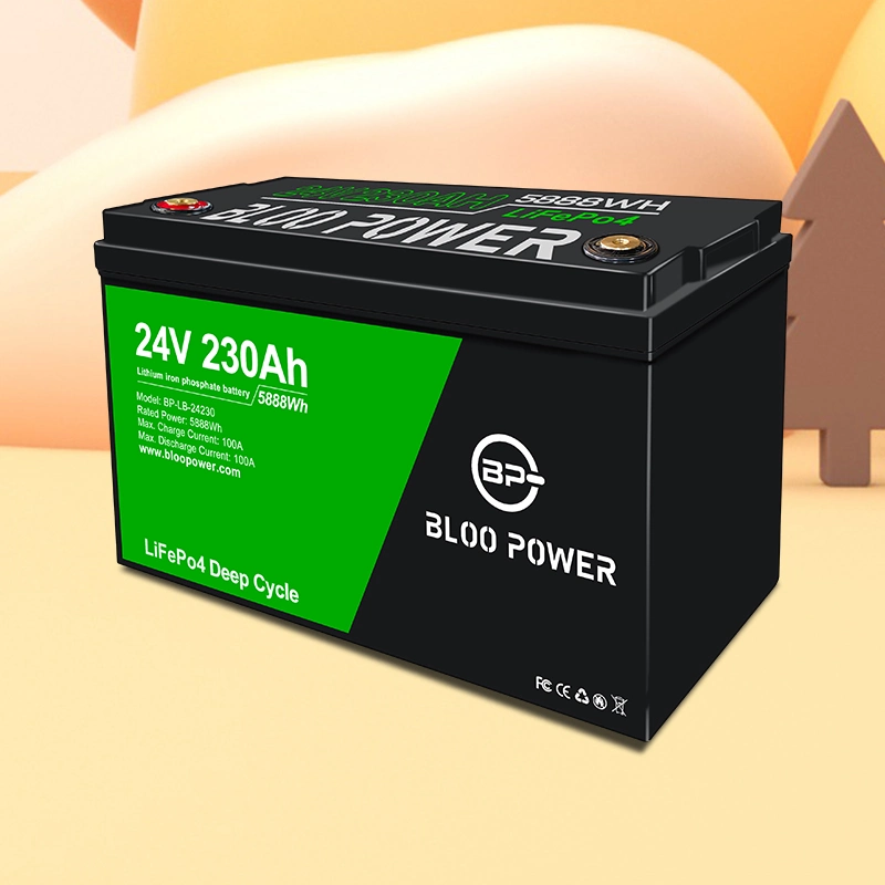 Bloo Power Customized Storage 12V 100 Ah with BMS Phosphate Energy for Data Center Hostel School University Shopping Center Mall Bank