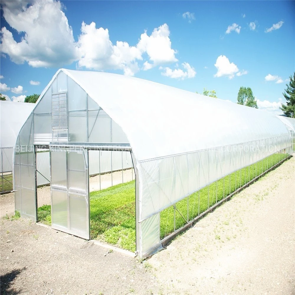 Hydroponic Tunnel Polycarbonate Sheet Polyethylene Plastic Film Green House PC Greenhouse Excellent Strength