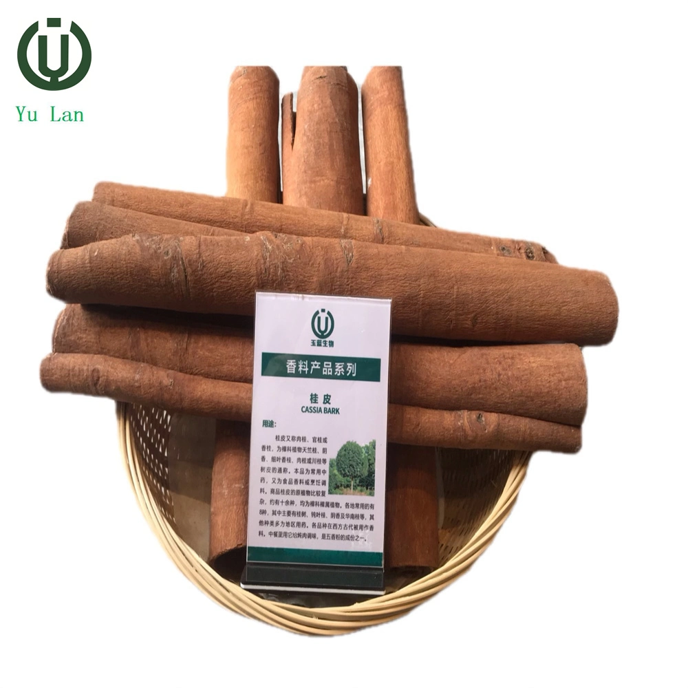 Comercio al por mayor los sabores naturales de la corteza de canela y condimentos Cassia Tube Venta caliente especia