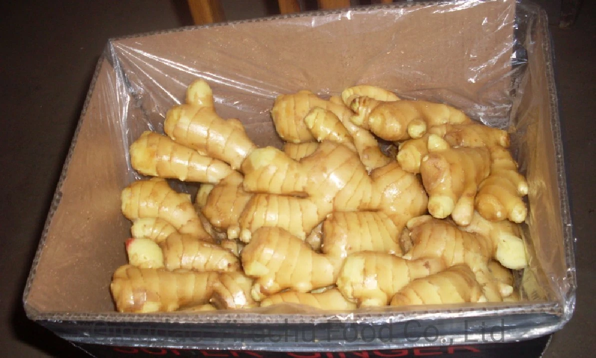 Fresh Shine Yellow Dry Ginger Supplier