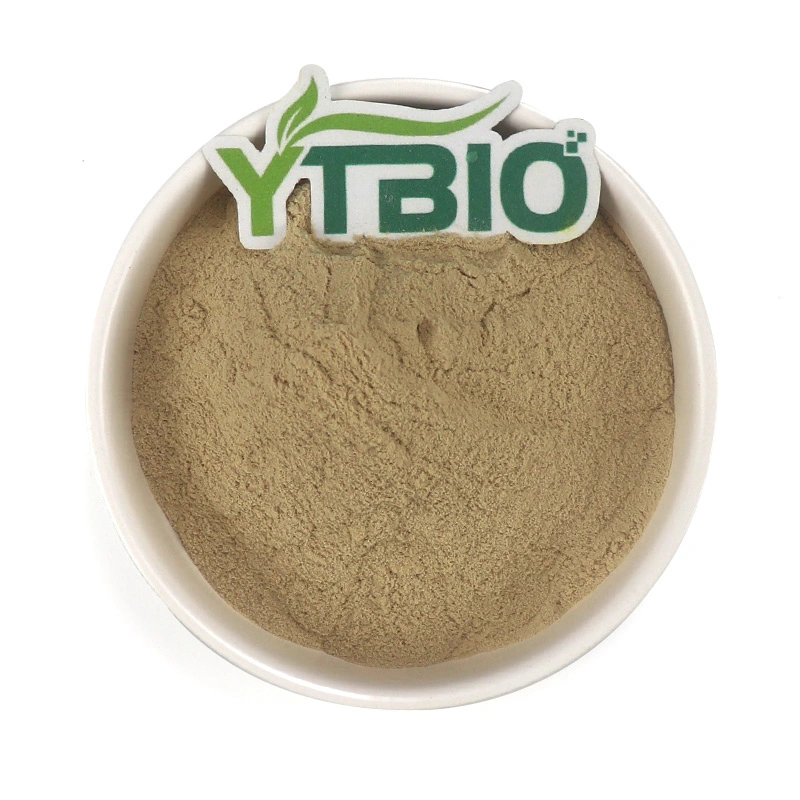 Wholesale Price Natto Extract Nattokinase Powder
