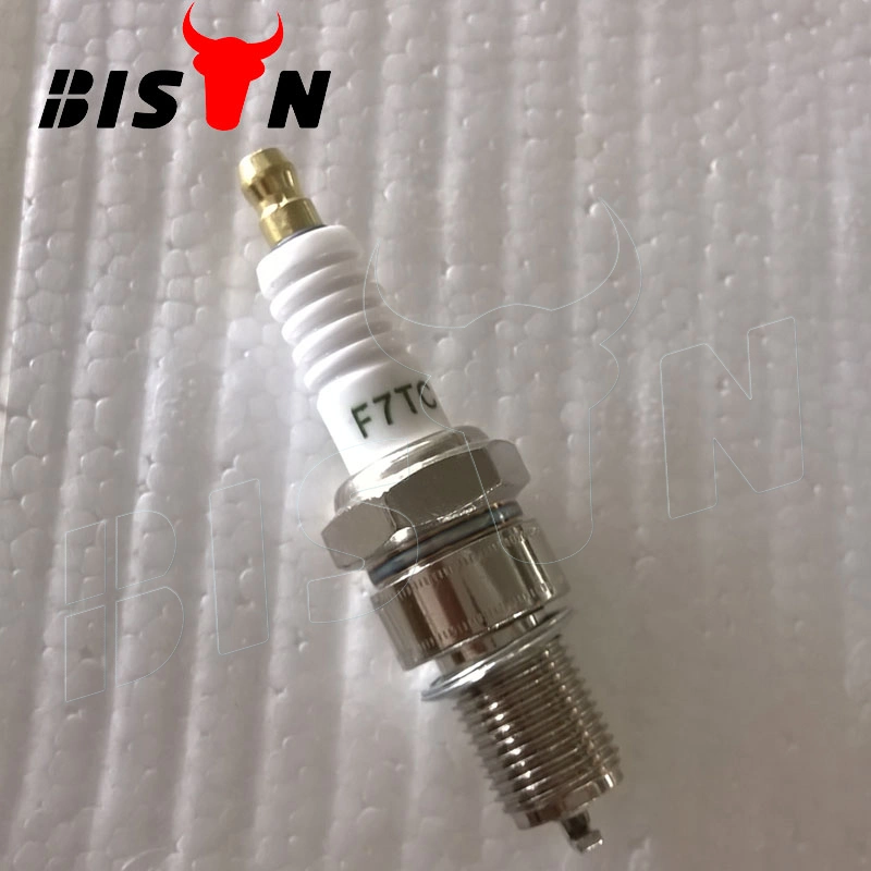 Bison 65HP 168f Biogas Engine Spark Plug BS160 Spark Plug