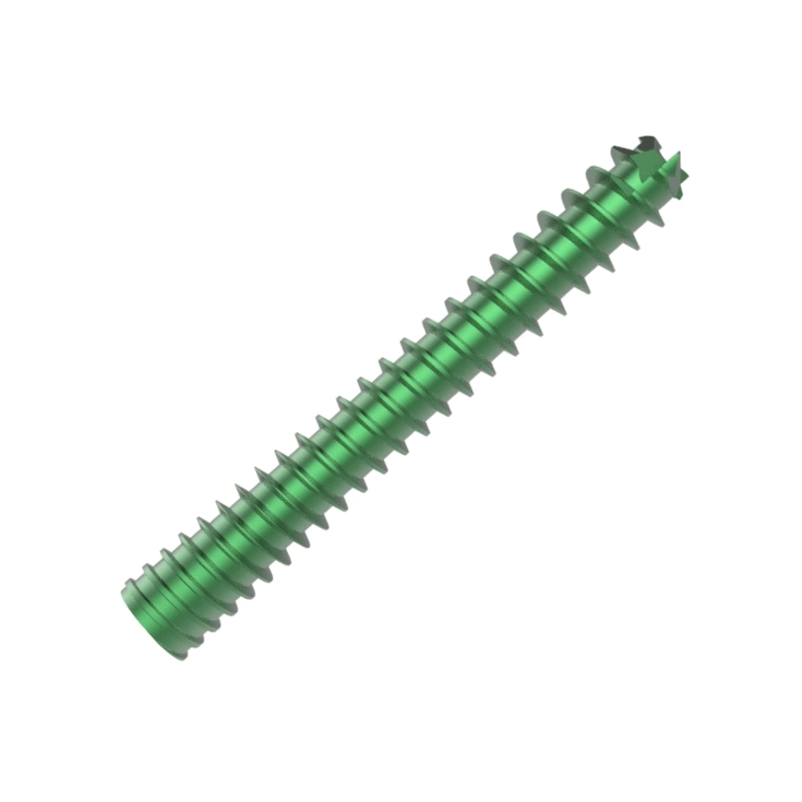 Headless Compression Cannulated Screw Herbert Screw Headless Screw Titanium Screw