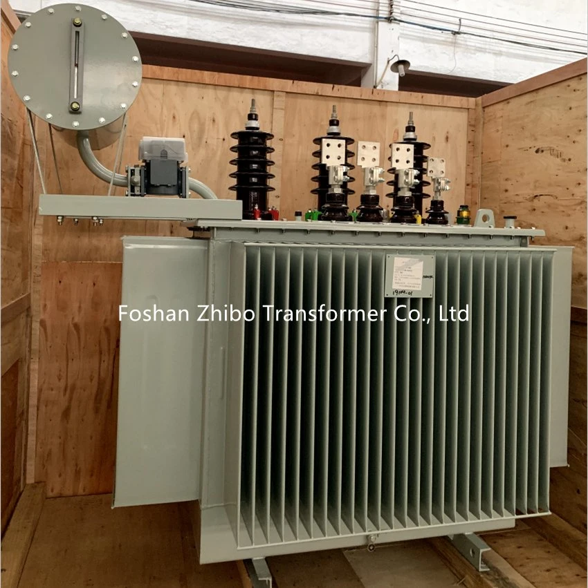 20, 22, 24kv 100kVA Oil Immersed Distribution Power Transformer