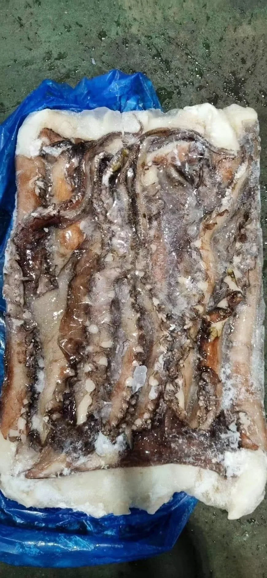 Hot Sale Frozen Seafood Nutritious Factory Supply Squid/Calamari Tentacle with Great Taste