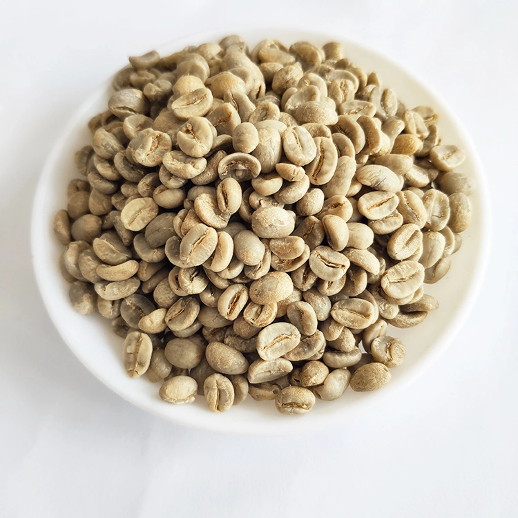 Export High quality/High cost performance Arabica Green Coffee Beans