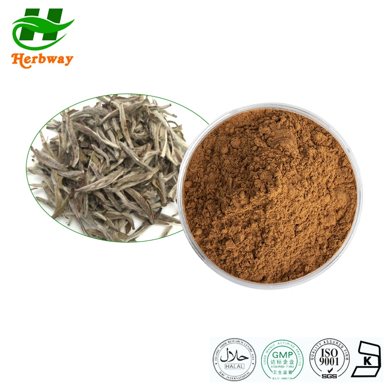 Herbway Kosher Halal Fssc HACCP Certified Plant Extract Health Care Products White Tea Powder