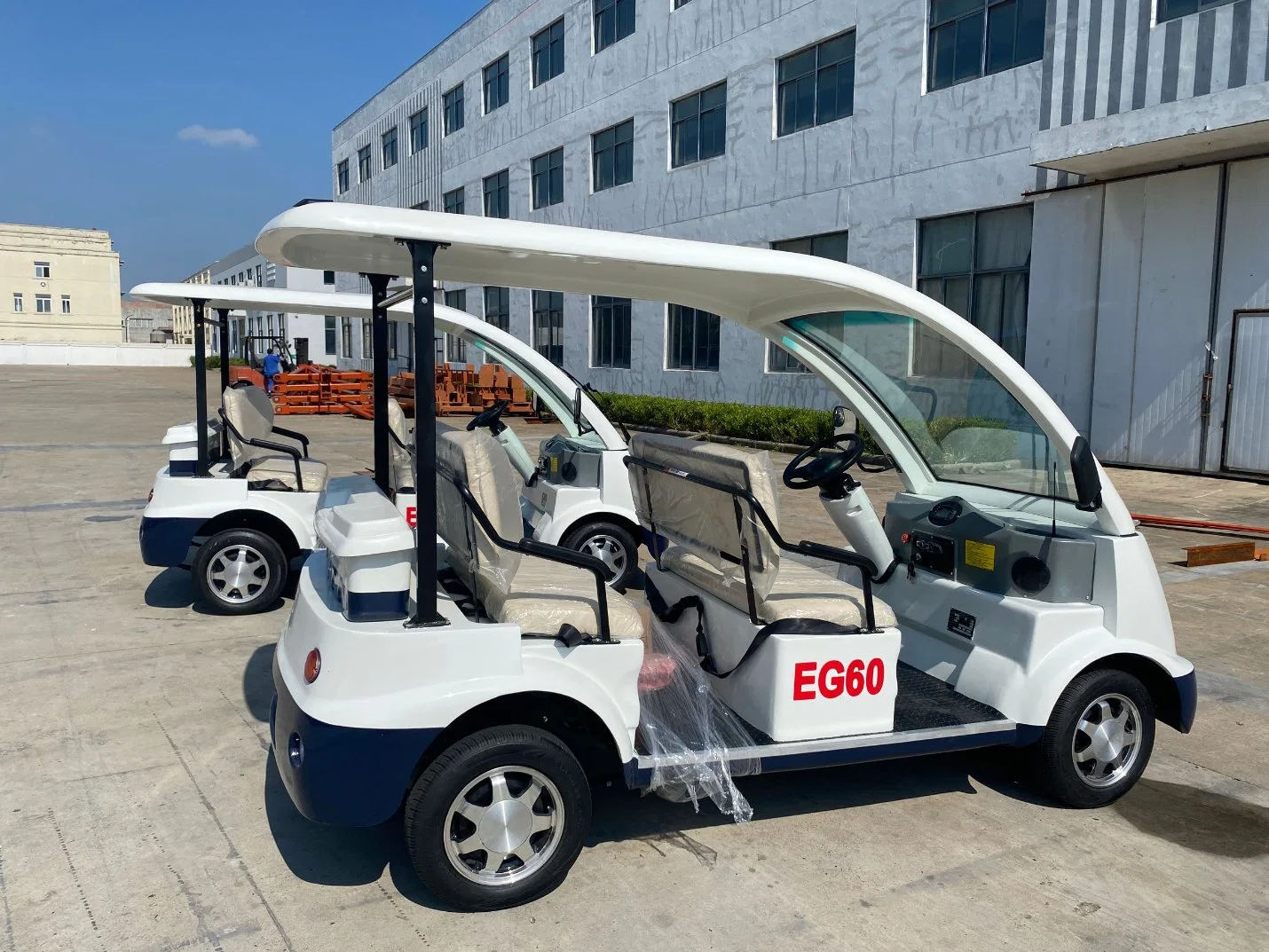 Electric Car Sightseeing Car Tour Car Golf Car