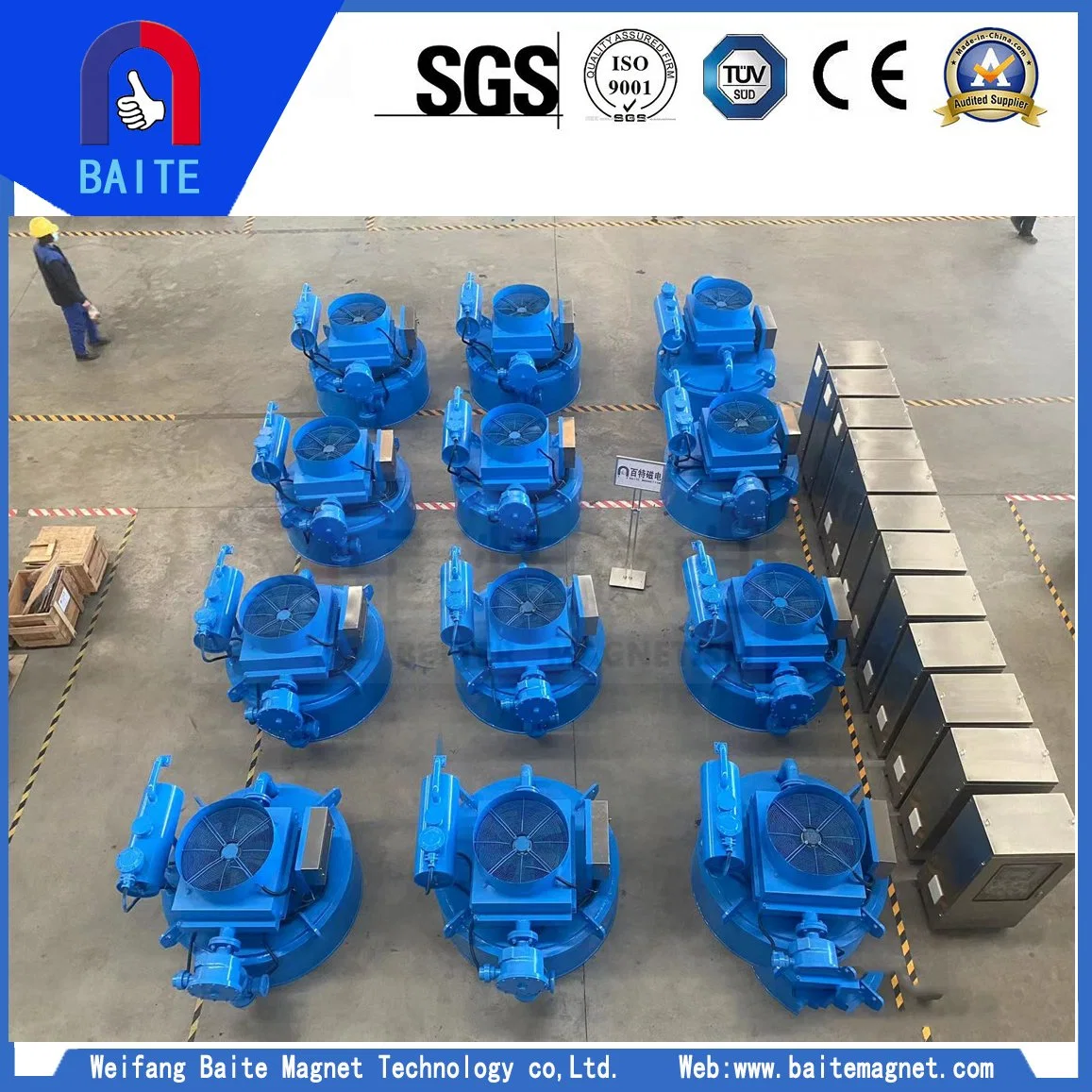 High quality/High cost performance Oil Cooled Circulation Electro Magnetic Separator for Thermal Power Plant