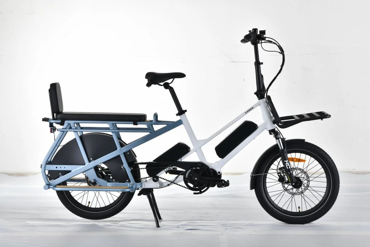 MID Drive Motor Ebike Electric Cargo Bike Carry Two Kids with Two Batteries