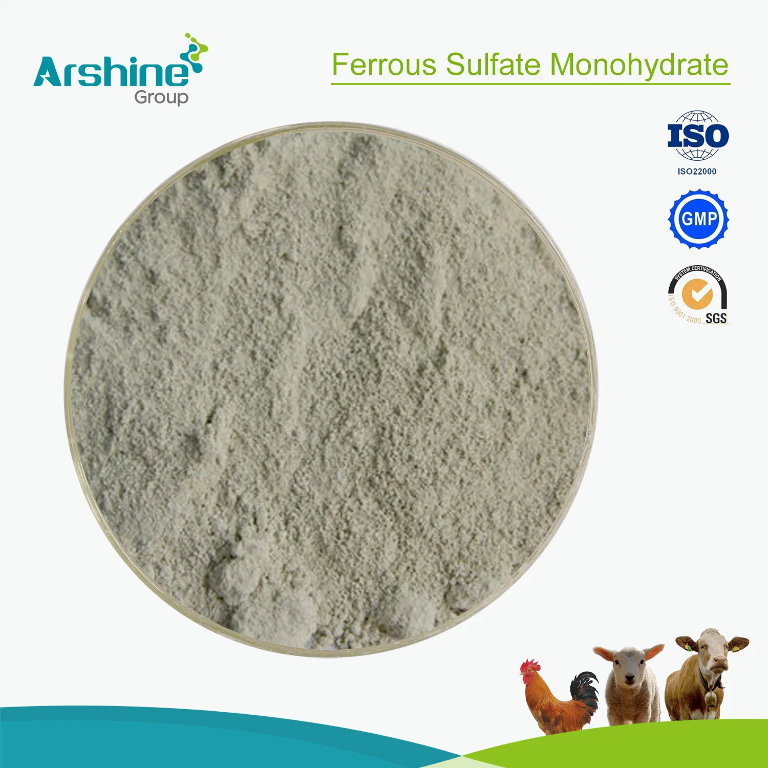 Pharmaceutical Grade 99% CAS13463-43-9 Ferrous Sulfate Monohydrate